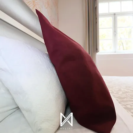 Mystay - Alfandega 16 *